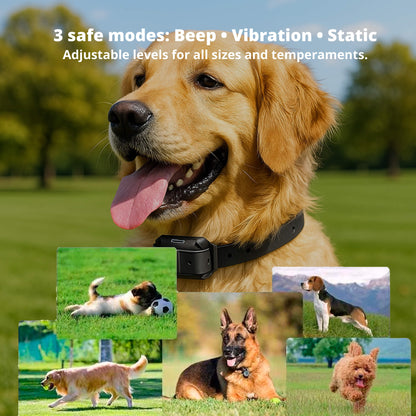 800M Rechargeable Electric Dog Training Collar - Waterproof, Remote Control & Ideal for Effective Dog Training 9975745872193-1