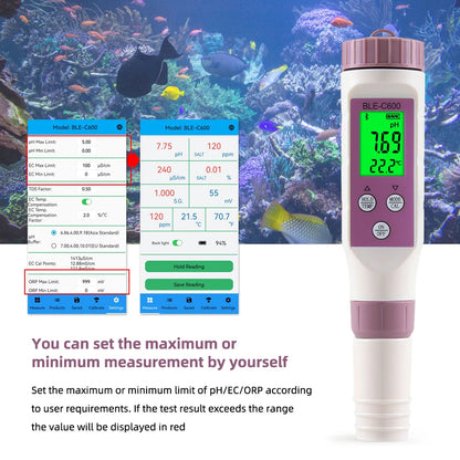 Digital Pool Tester – Measuring device for pH and chlorine for easy pH measurement in pool water 9950225891649-1