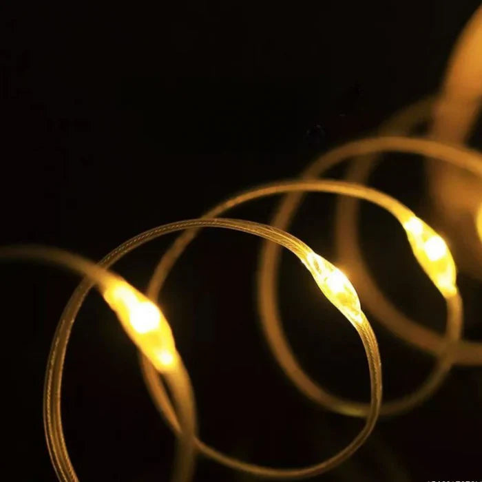 Transportable Led Lights Garland