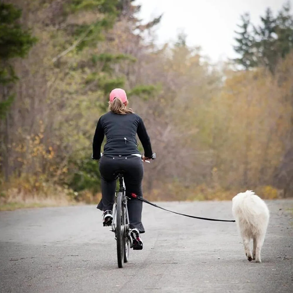 Dog Bike Leash with Running Attachment 262993