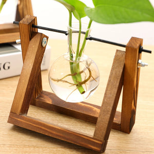 Wooden Plant Propagation Stand With Glass Vases