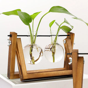 Wooden Plant Propagation Stand With Glass Vases