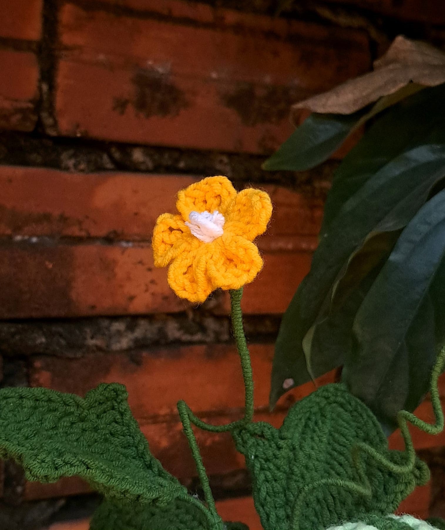 Handcrafted Crochet Flower Vase - Gift For Mom, Little Girls