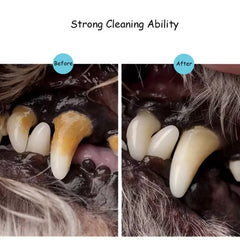 Pet Teeth Cleaning Pen - Pet Dog/Cat Teeth Cleaning Pen