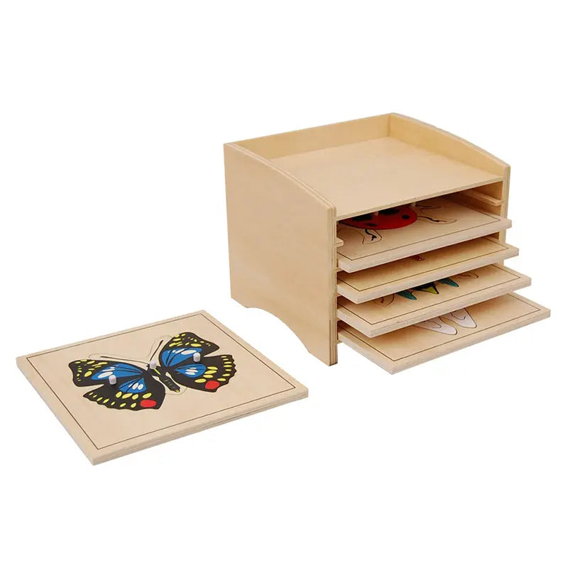 Insect Puzzle Cabinet With Five Puzzles