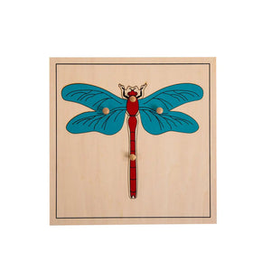 Insect Puzzle Cabinet With Five Puzzles