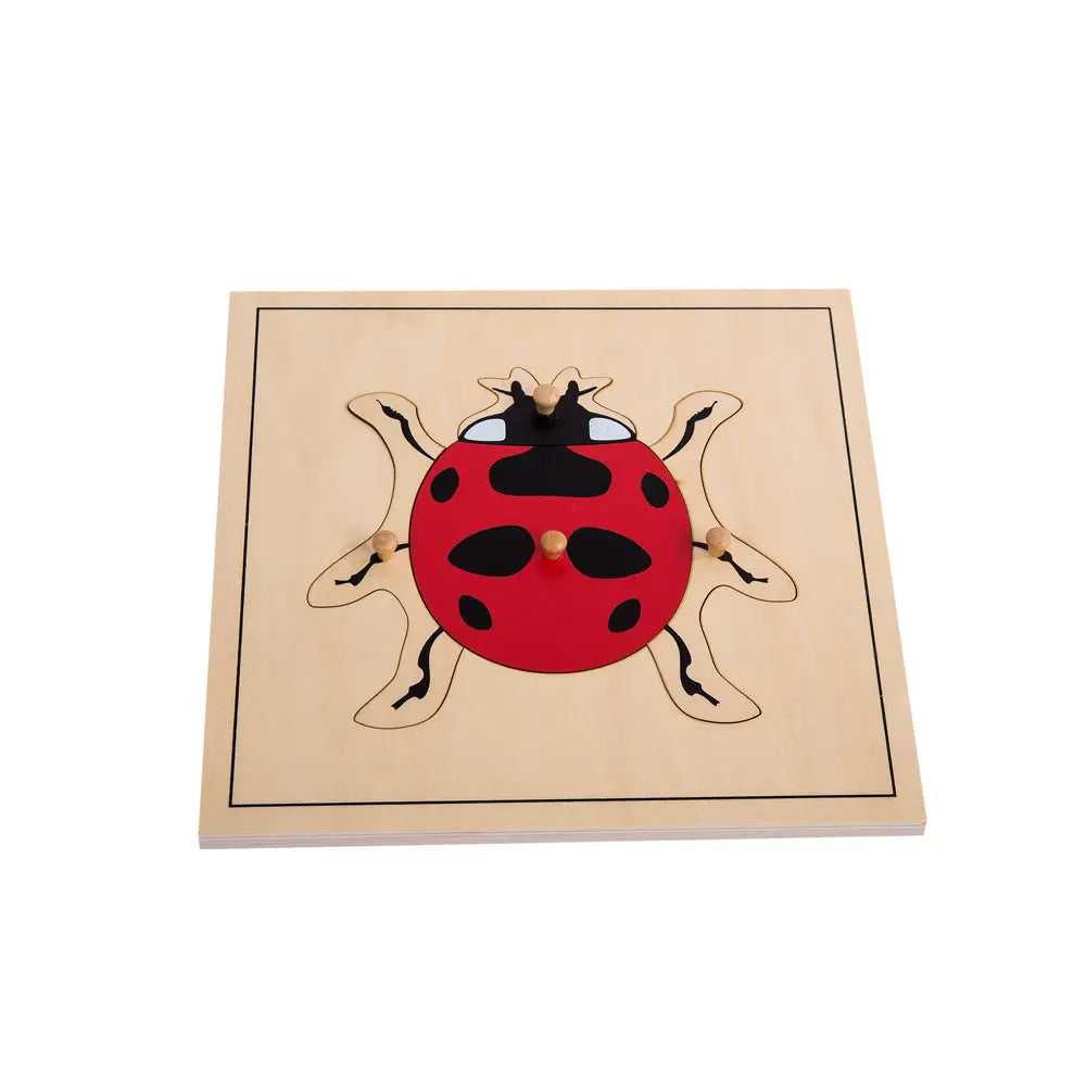 Insect Puzzle Cabinet With Five Puzzles