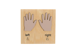 Left And Right Hand Puzzle – Educational Toy