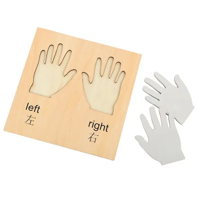 Left And Right Hand Puzzle – Educational Toy