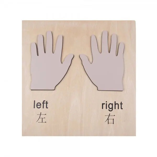 Left And Right Hand Puzzle – Educational Toy