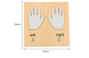 Left And Right Hand Puzzle – Educational Toy