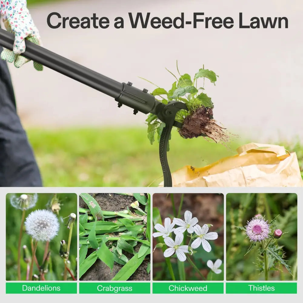 Long Handled Weed Puller Remover Weeding Tools