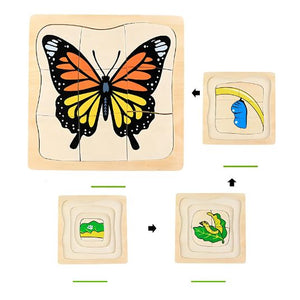 Montessori Life Cycle Puzzle - Educational Toy For Early Learning