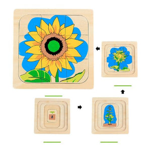 Montessori Life Cycle Puzzle - Educational Toy For Early Learning