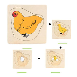 Montessori Life Cycle Puzzle - Educational Toy For Early Learning