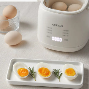 Multifunctional Egg Boiler