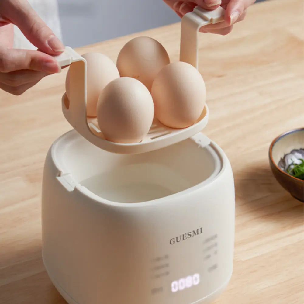 Multifunctional Egg Boiler