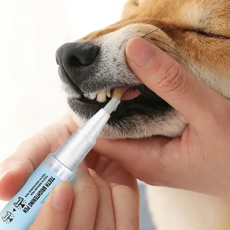 Natural Dog Plaque Remover Liquid for Safe Tartar Removal 259127