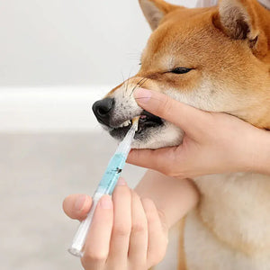 Pet'S Teeth Health By Repairing And Preventing Disease