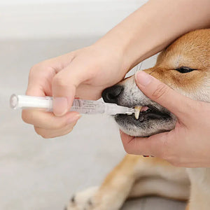 Pet'S Teeth Health By Repairing And Preventing Disease