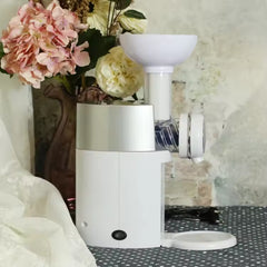 Frozen Fruit Ice Cream Machine