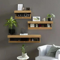 Concealed Wall Shelf With Hidden Compartment Storage