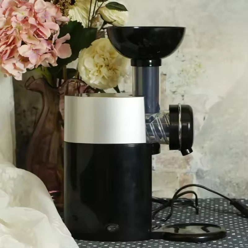 Frozen Fruit Ice Cream Machine 88008592-black