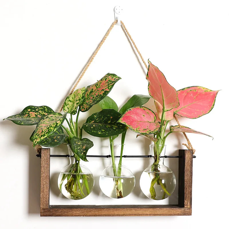 Wooden Plant Propagation Stand With Glass Vases