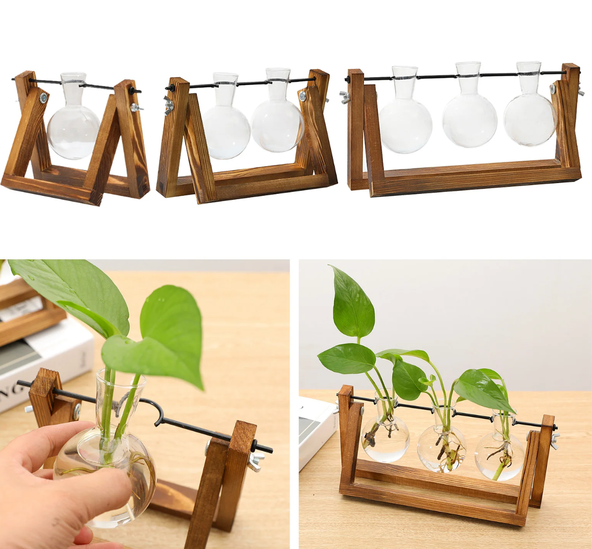 Wooden Plant Propagation Stand With Glass Vases