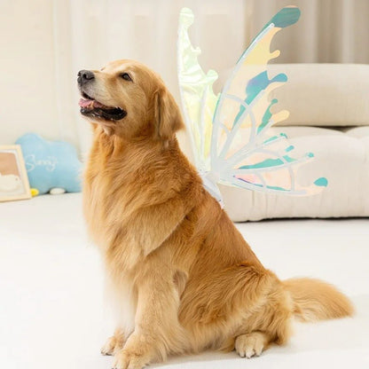Butterfly Fairy Wings for Dogs - Enchanting Pet Accessory 8277336555718-1