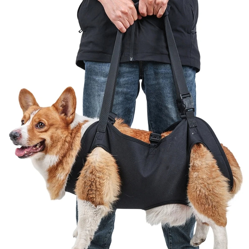 Full Body Support Dog Lift Harness 94579684-s
