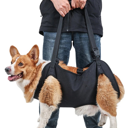 Full Body Support Dog Lift Harness 94579684-s