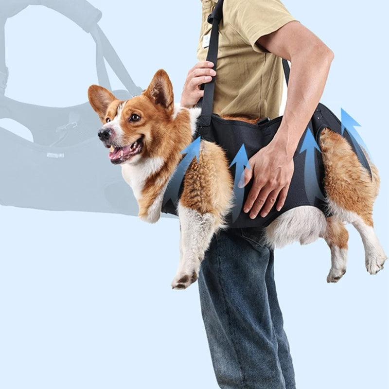 Full Body Support Dog Lift Harness 94579684-s