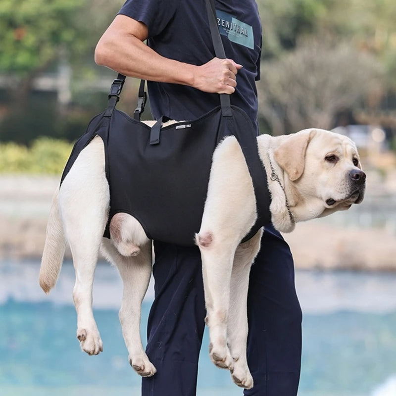 Full Body Support Dog Lift Harness 94579684-s