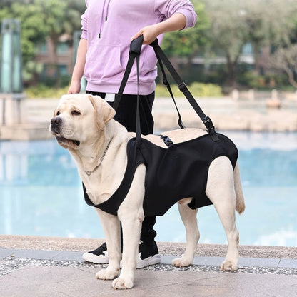 Full Body Support Dog Lift Harness 94579684-s
