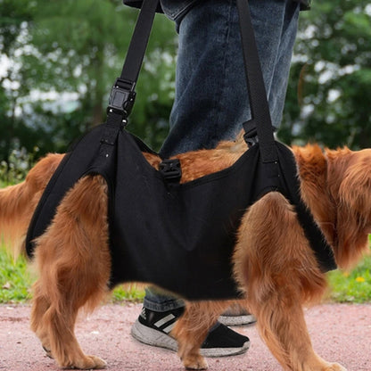 Full Body Support Dog Lift Harness 94579684-s