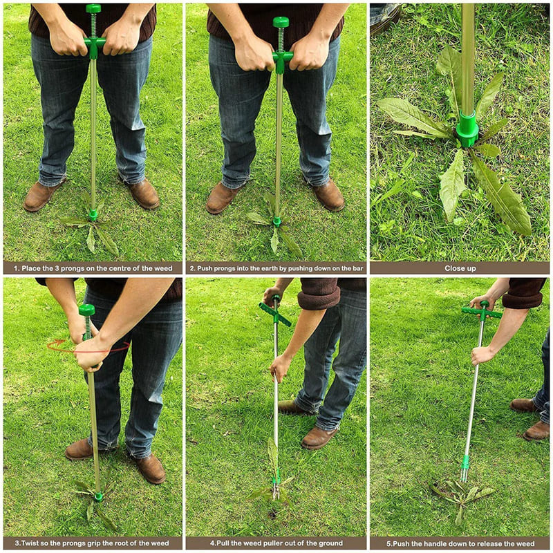 Stand Up Weed Remover Tool for Garden - Long Handle, No Bend Puller