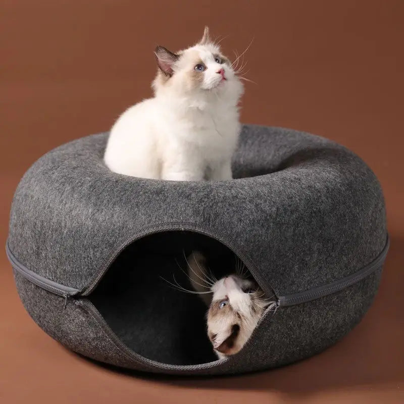 Cat Bed With Tunnel – Comfortable And Entertaining For Cats