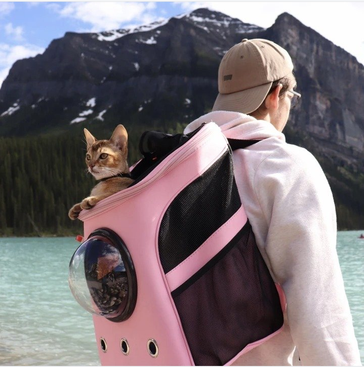 "The Fat Cat" Cat Backpack - For Larger Cats