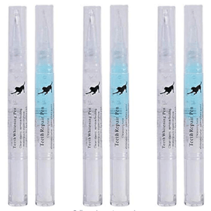 Pet S Teeth Health By Repairing And Preventing Disease