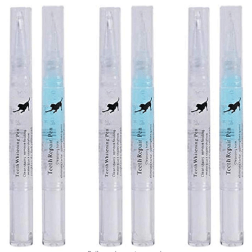 Pet S Teeth Health By Repairing And Preventing Disease