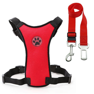 Dog Safety Harness And Car Safety Strap Set 3 Colors 4 Sizes For Comfort And Prefect Fit