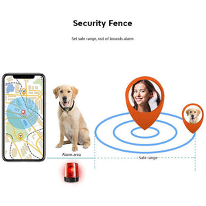 Smart Gps Cat Dog Collar - Pet Tracker