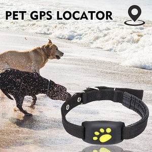 Smart Gps Cat Dog Collar - Pet Tracker