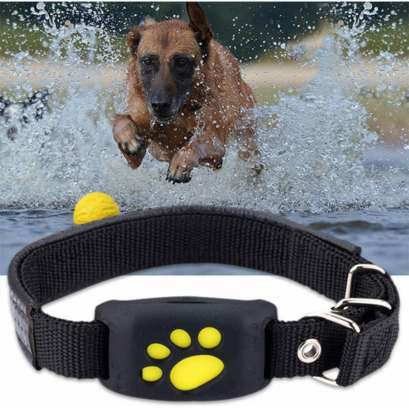 Smart Gps Cat Dog Collar - Pet Tracker