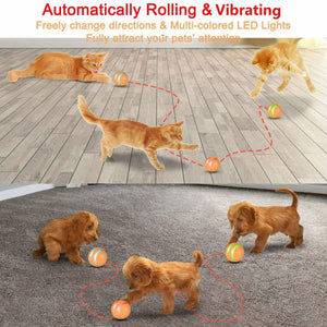 Remote Control Pet Bounce Ball