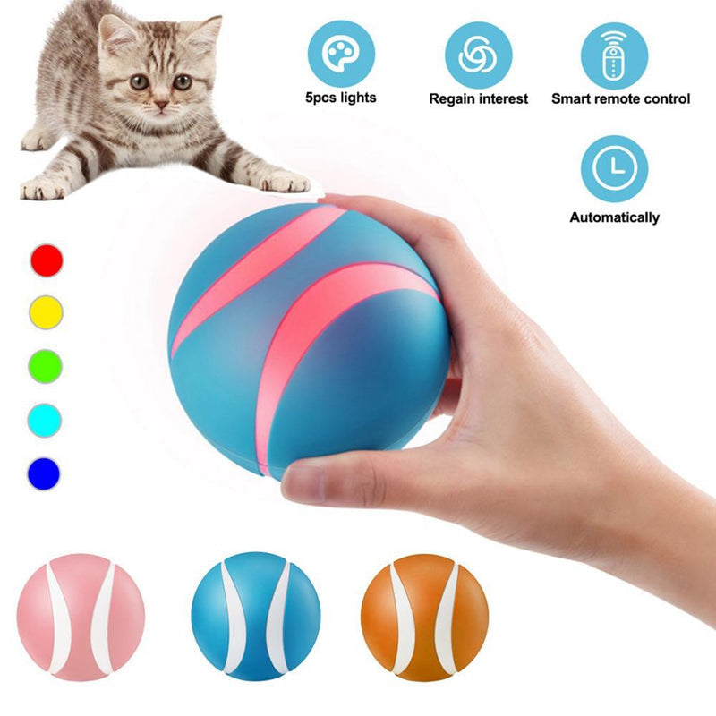 Remote Control Pet Bounce Ball