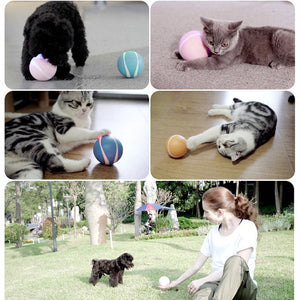 Remote Control Pet Bounce Ball