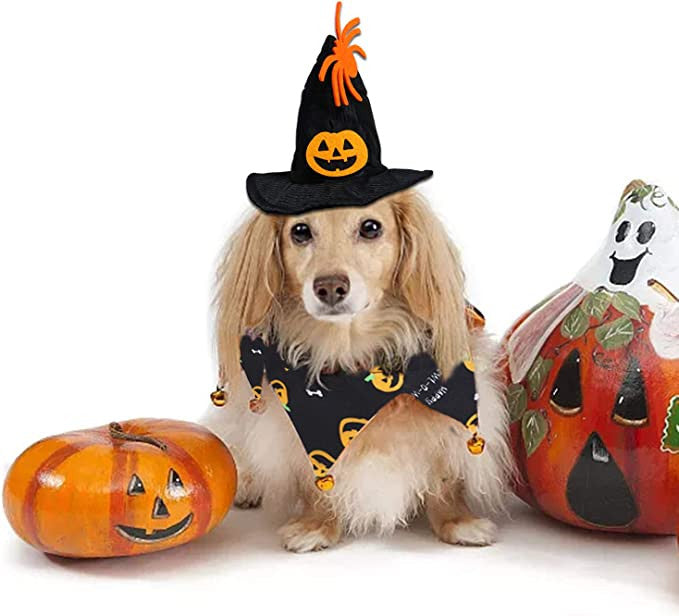 Halloween Costumes For Cats 27655208-a