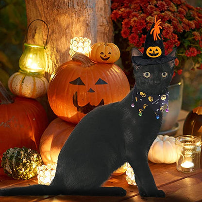 Halloween Costumes For Cats 27655208-a